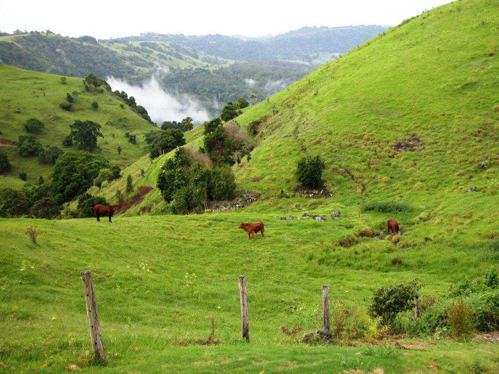 Top Of The Hill Maleny Ngoại thất bức ảnh